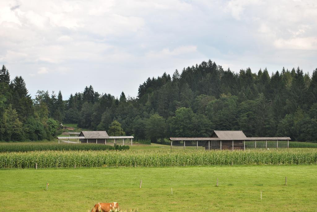 Farm Holidays Povsin Bled Eksteriør billede